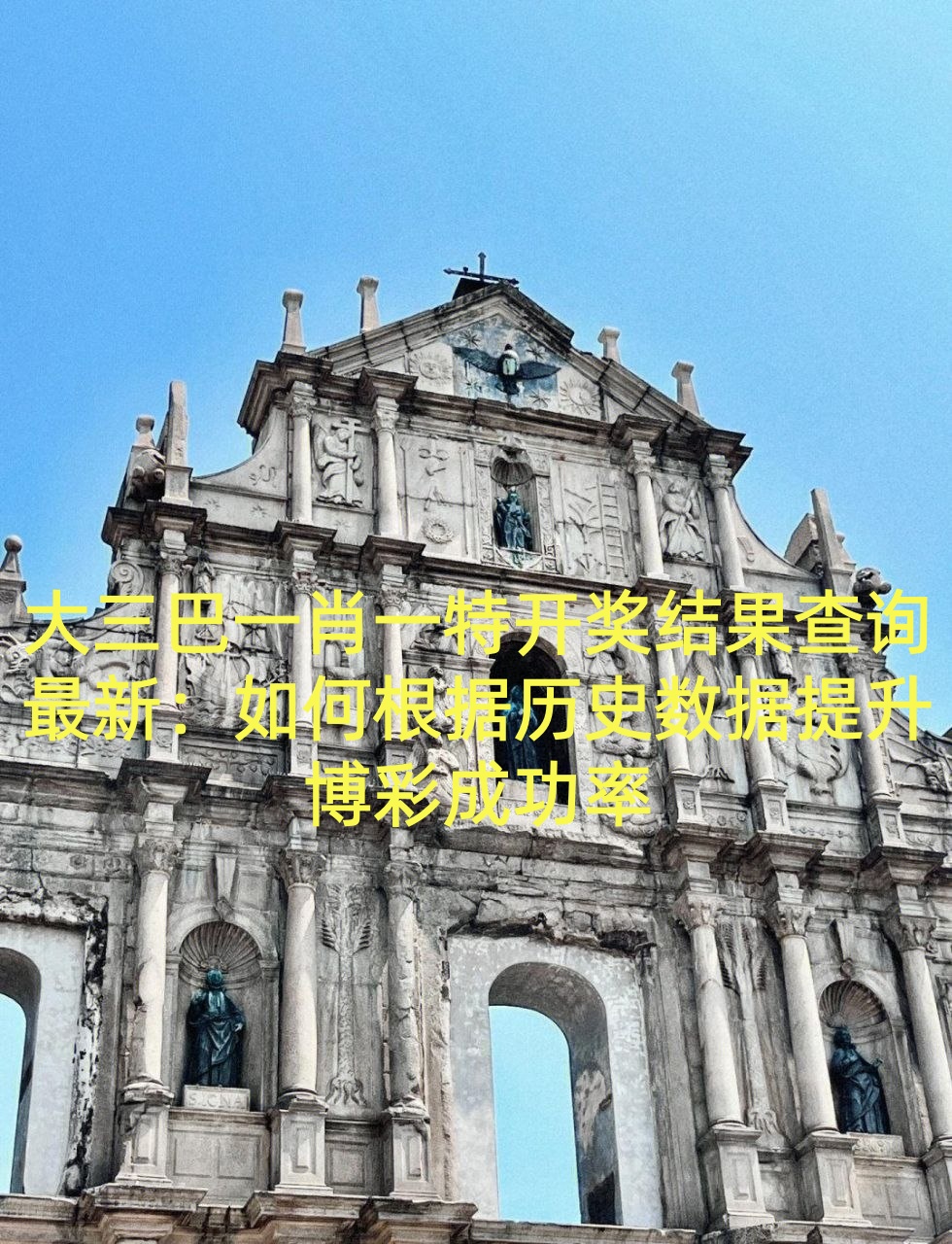 大三巴一肖一特开奖结果查询最新：如何根据历史数据提升博彩成功率