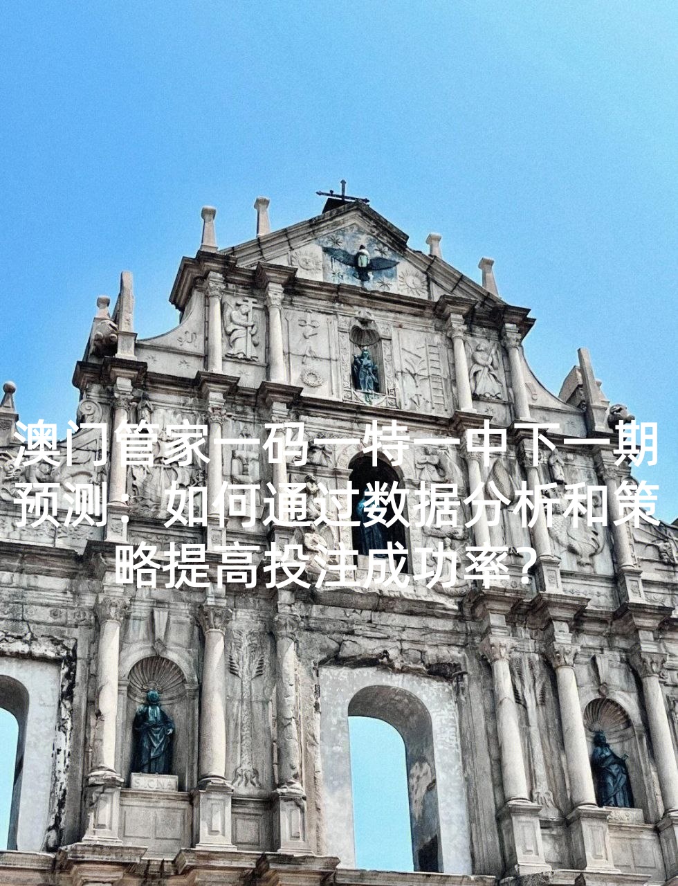 澳门管家一码一特一中下一期预测：如何通过数据分析和策略提高投注成功率？